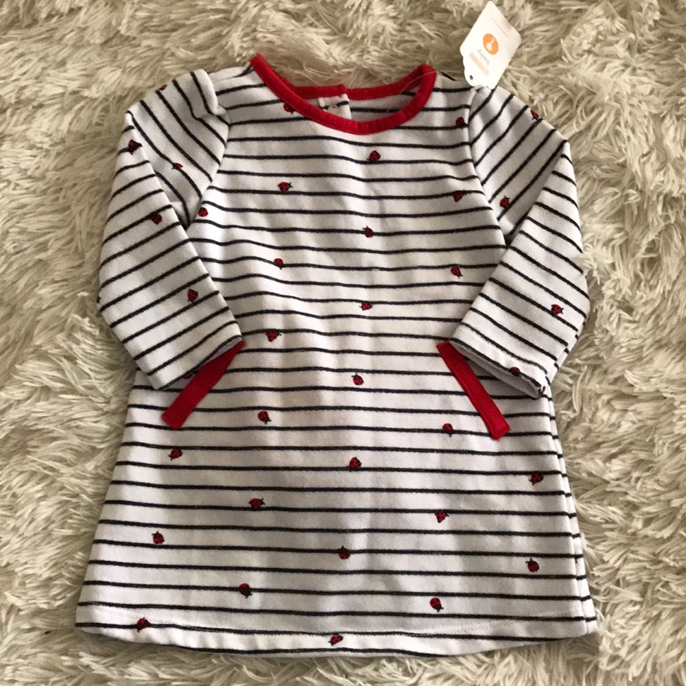 ⭐️4 for $20⭐️Gymboree Lady Bug || Striped Dress